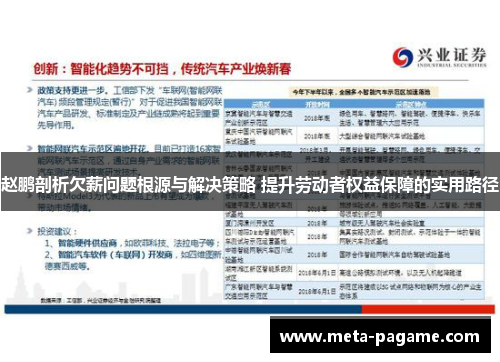 赵鹏剖析欠薪问题根源与解决策略 提升劳动者权益保障的实用路径