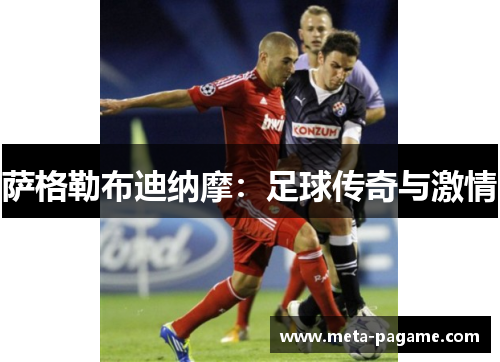 萨格勒布迪纳摩:足球传奇与激情 萨格勒布迪纳摩:足球传奇与激情