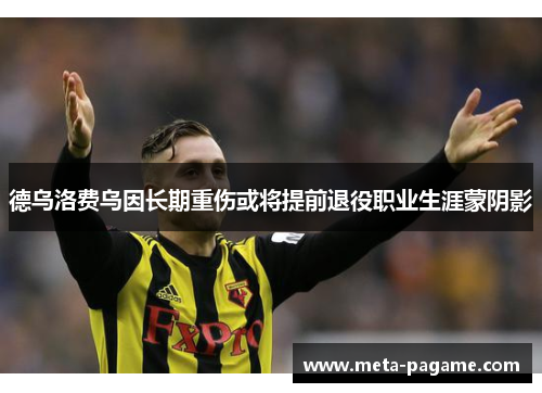 德乌洛费乌因长期重伤或将提前退役职业生涯蒙阴影 德乌洛费乌因长期重伤或将提前退役职业生涯蒙阴影